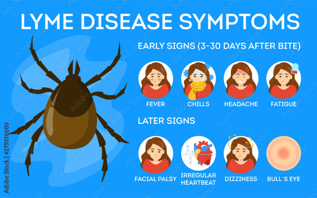 Why Lyme Disease Is Often Difficult to Diagnose