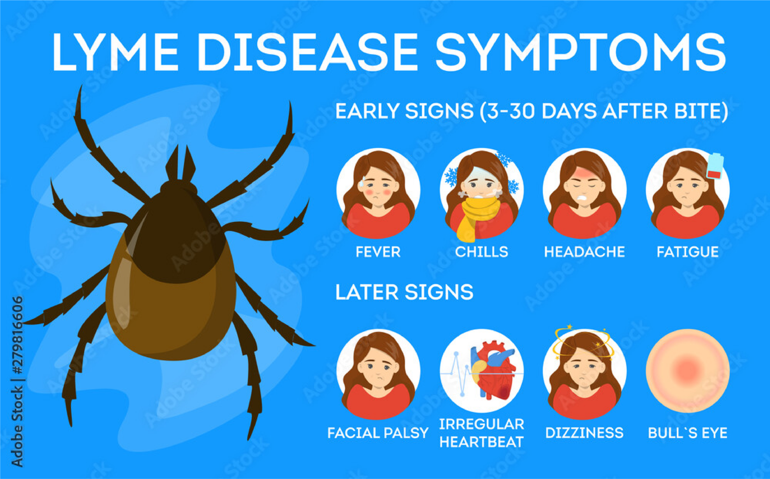 lyme disease symptoms
