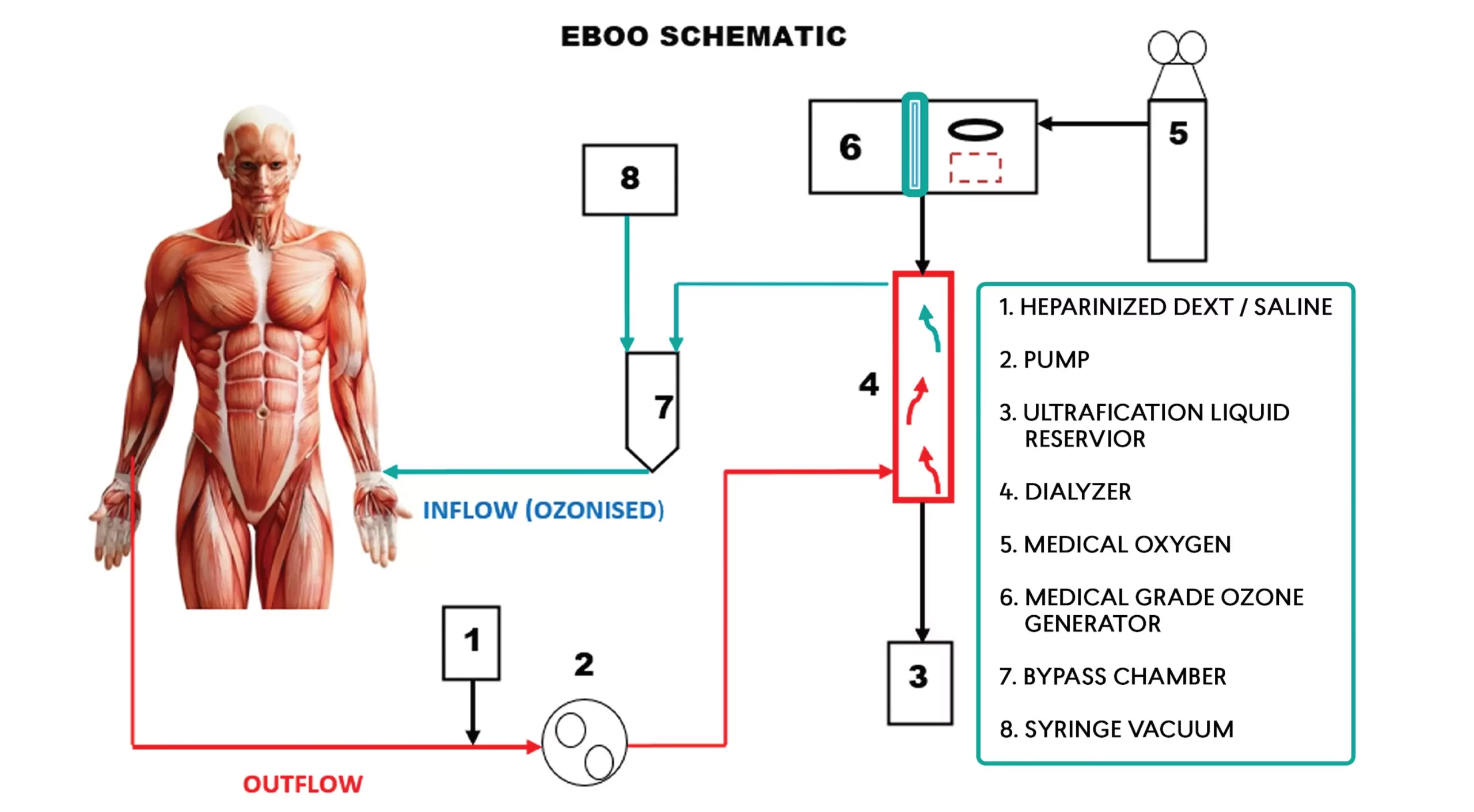 How EBOO works