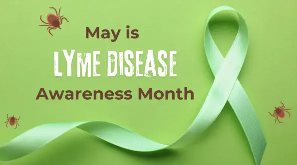 symptoms of Ltme disease